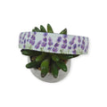 Lavender Fields (Light Blue) Dog Collar (Large)