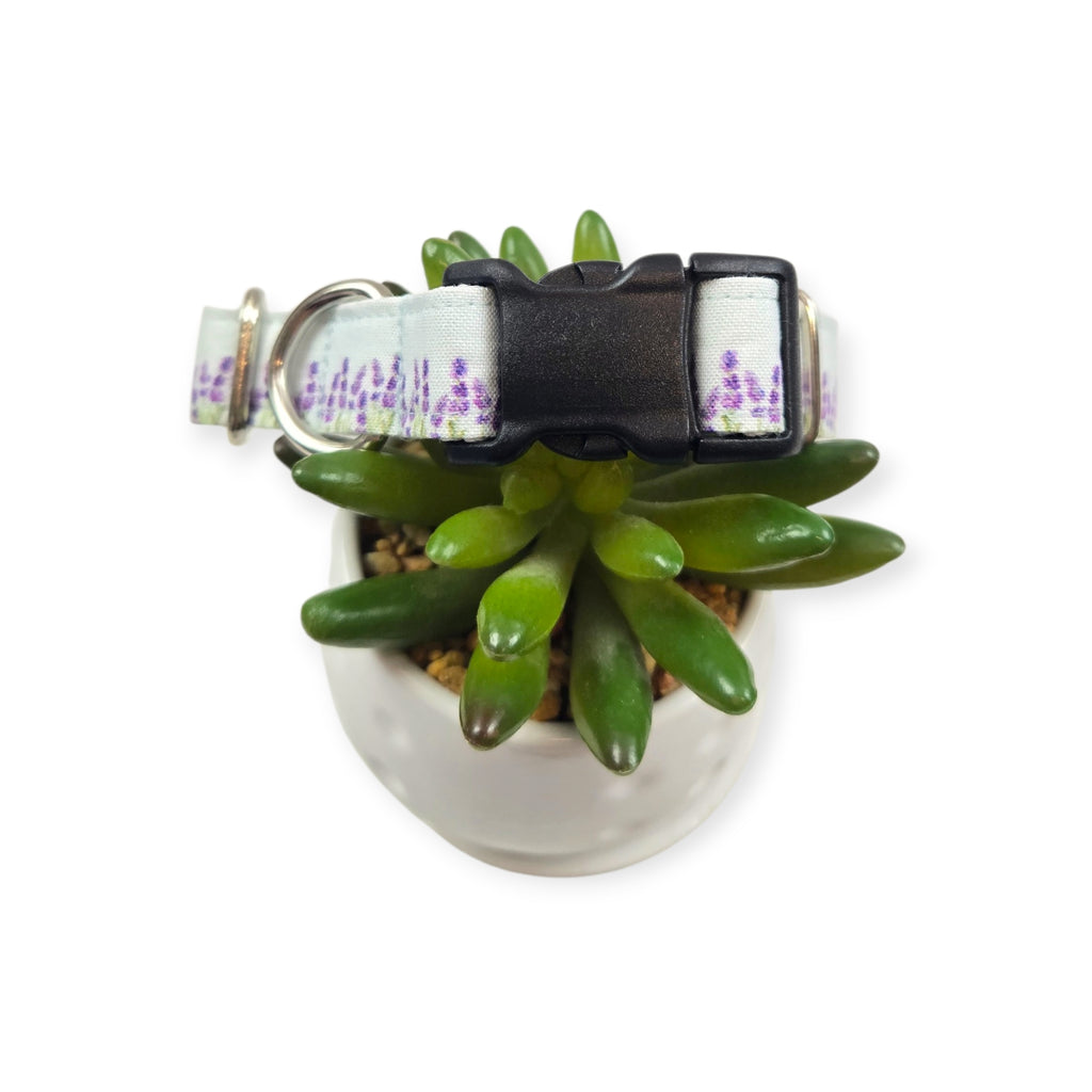 Lavender Fields (Light Blue) Dog Collar #2 (Medium)