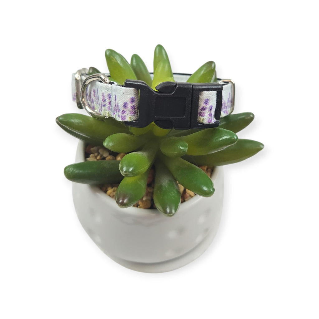 Lavender Fields (Light Blue) Dog collar (XX-Small)