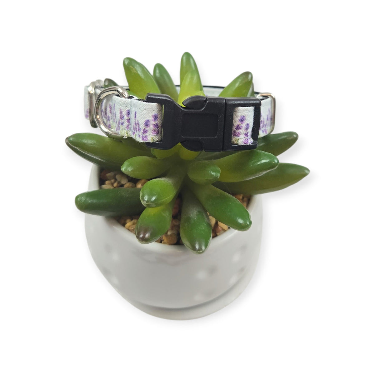 Lavender Fields (Light Blue) Dog collar (XX-Small)