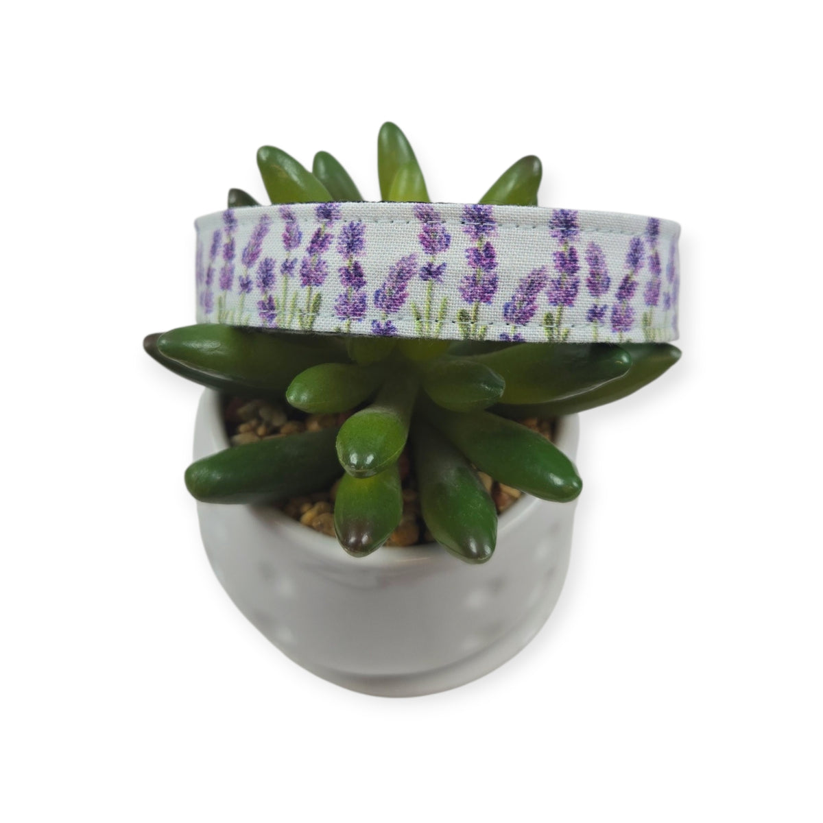 Lavender Fields (Light Blue) Dog Collar #1 (Medium)