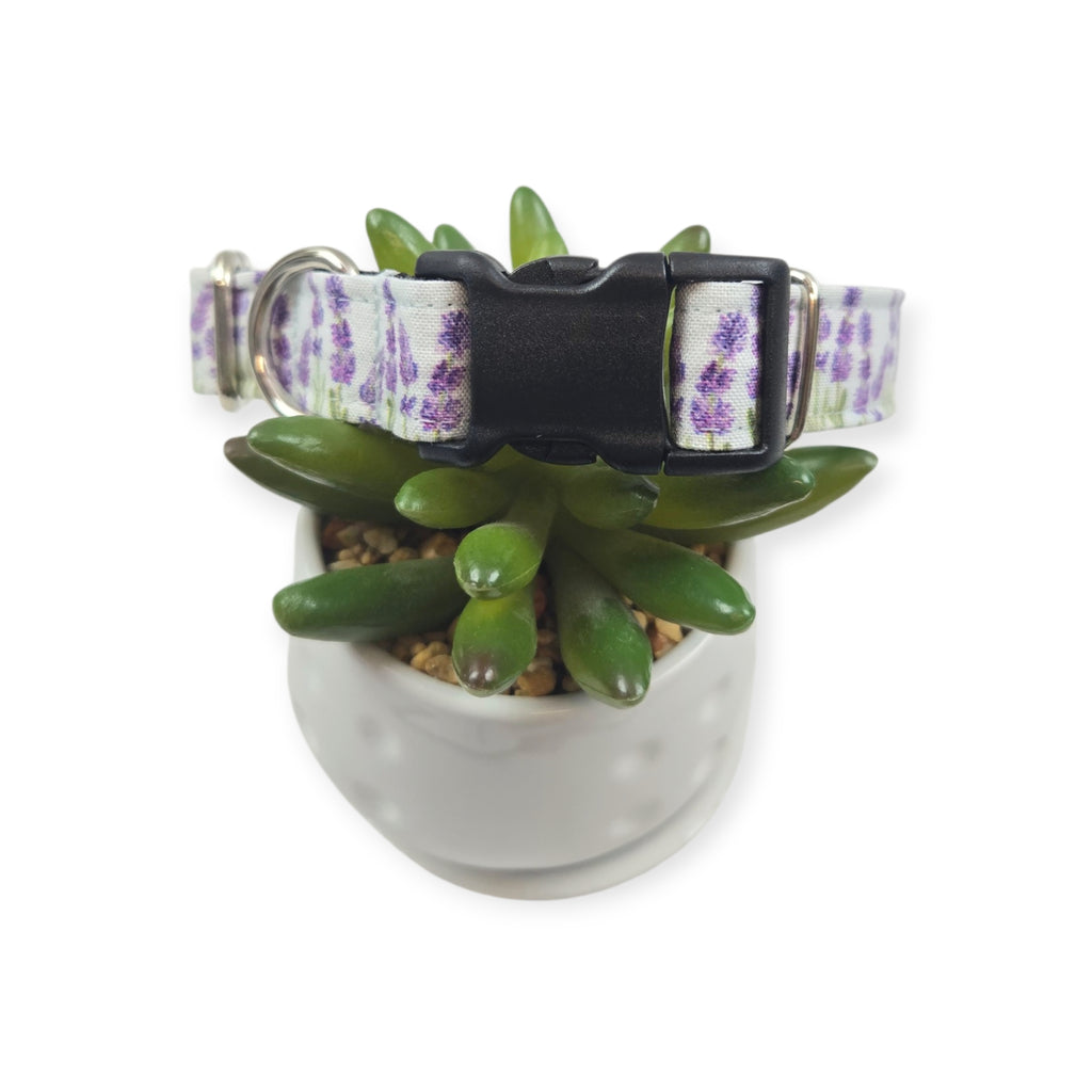 Lavender Fields (Light Blue) Dog Collar #1 (Medium)