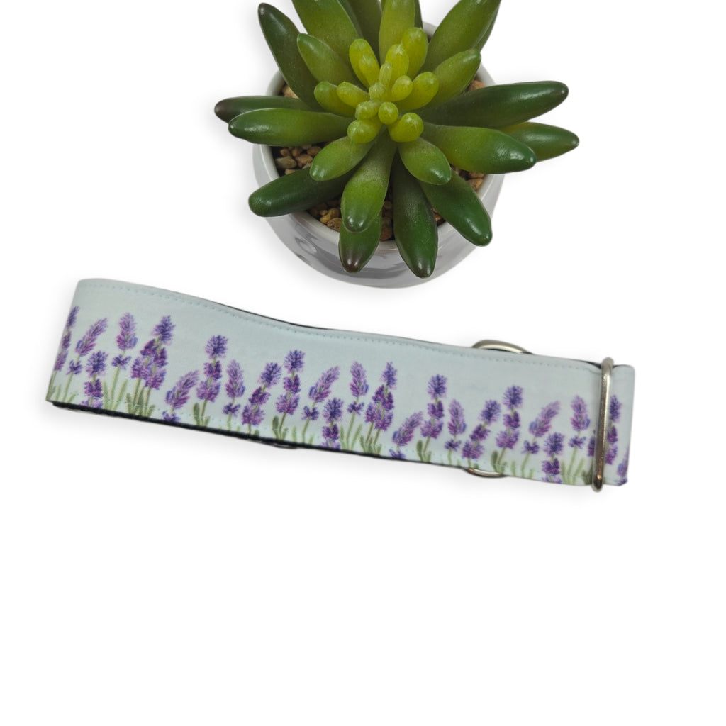 Lavender Fields (Light Blue) Dog Collar (Large, 1.5" wide)