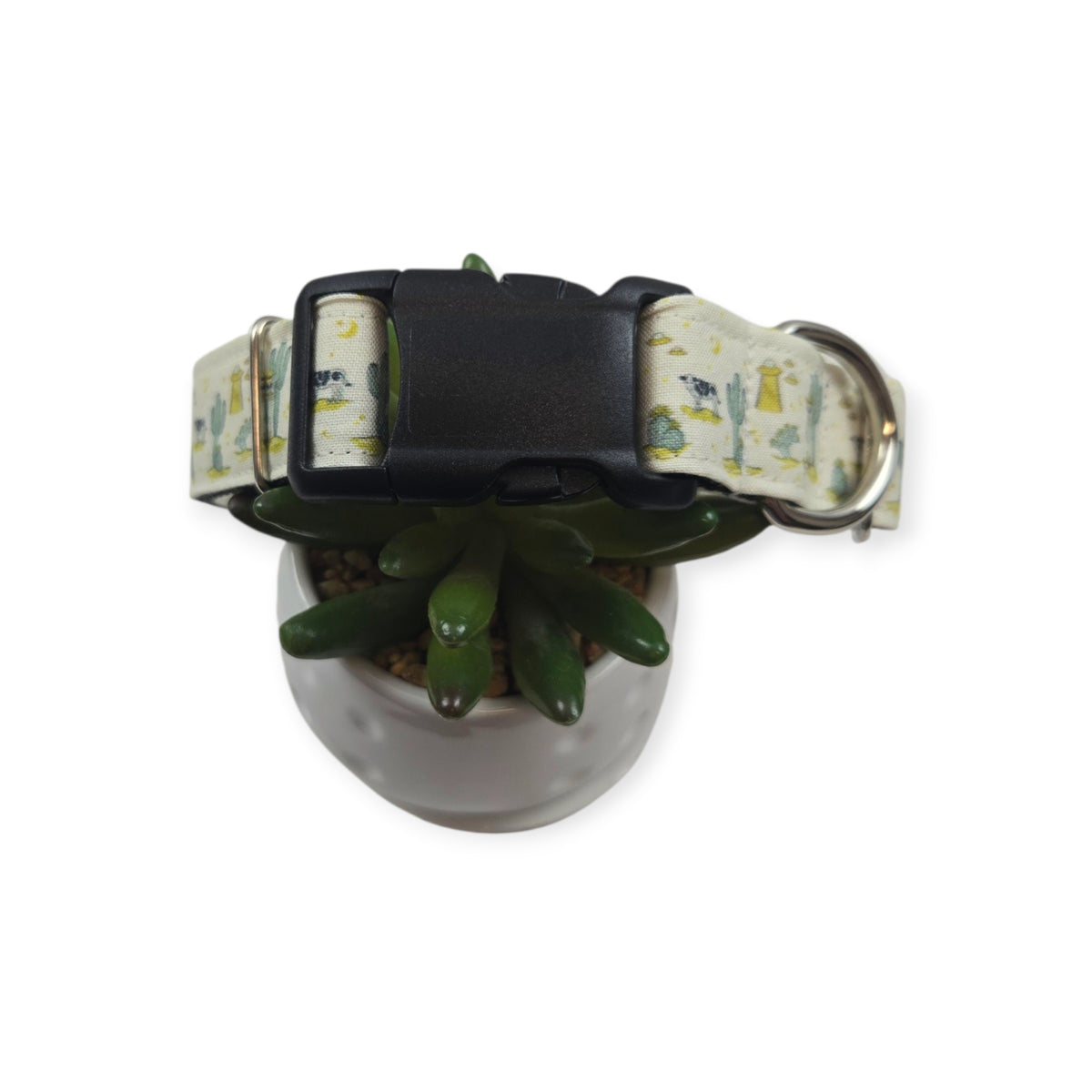 Cosmic Western Cowboy Dog Collar (Medium, 1" Wide)