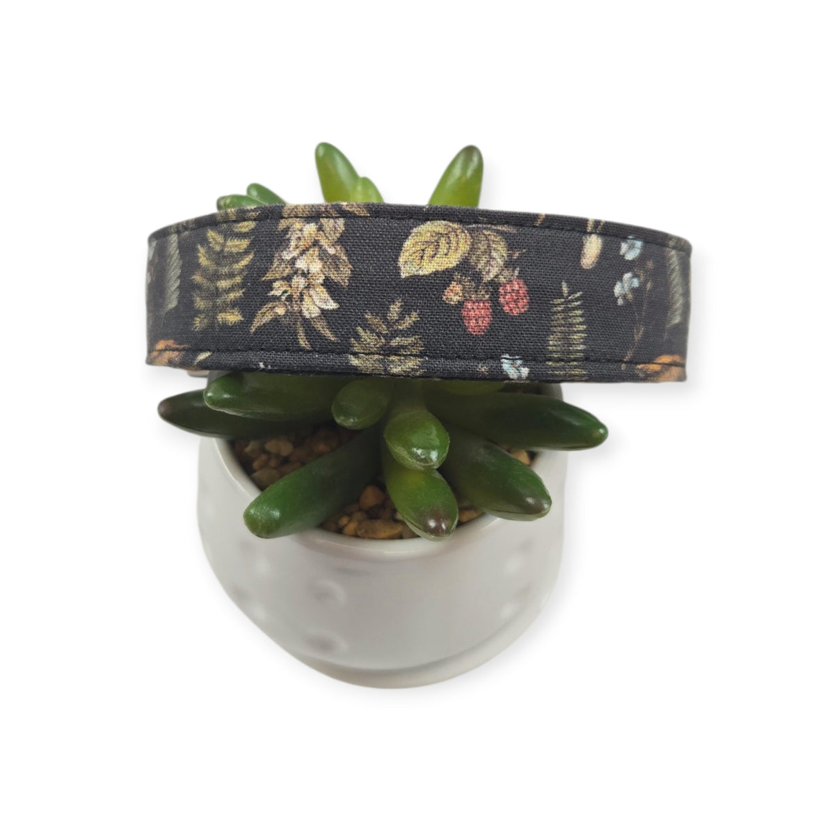 Cottagecore Dog Collar (Medium, 1" Wide)