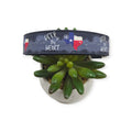 Deep in the Heart of Texas Dog Collar (Large)