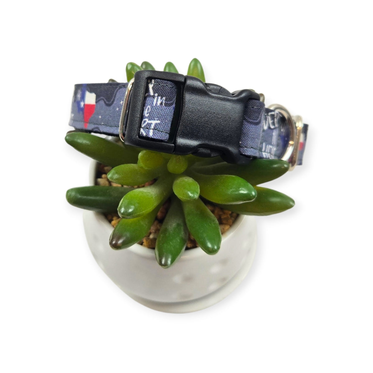 Deep in the Heart of Texas Dog Collar (Medium)