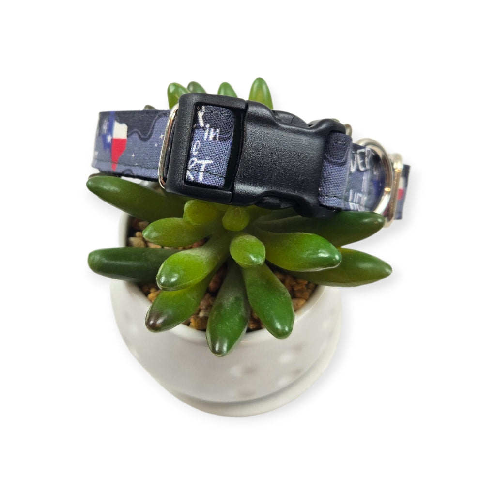 Deep in the Heart of Texas Dog collar (Small, 3/4" wide)