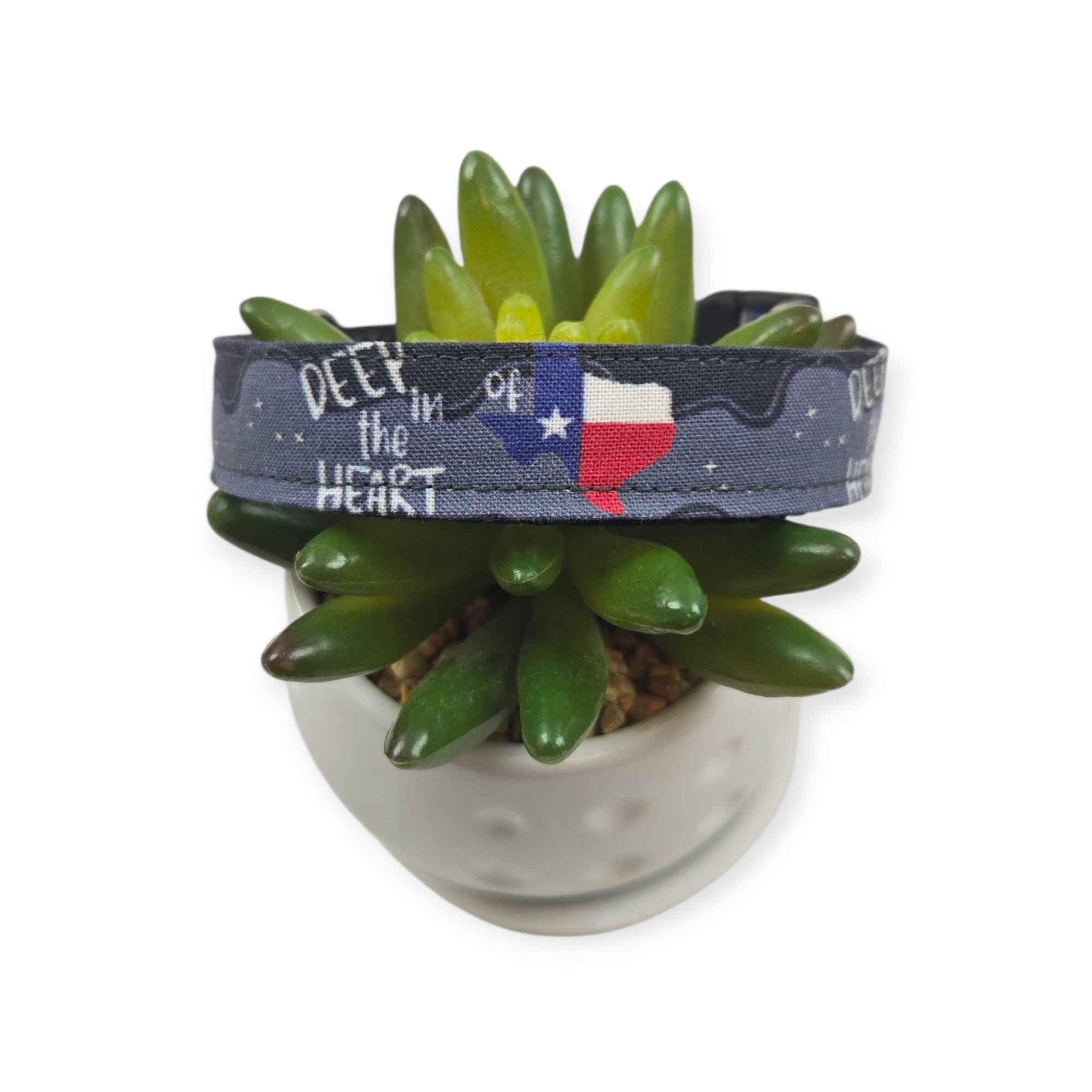 Deep in the Heart of Texas Dog Collar (Medium)