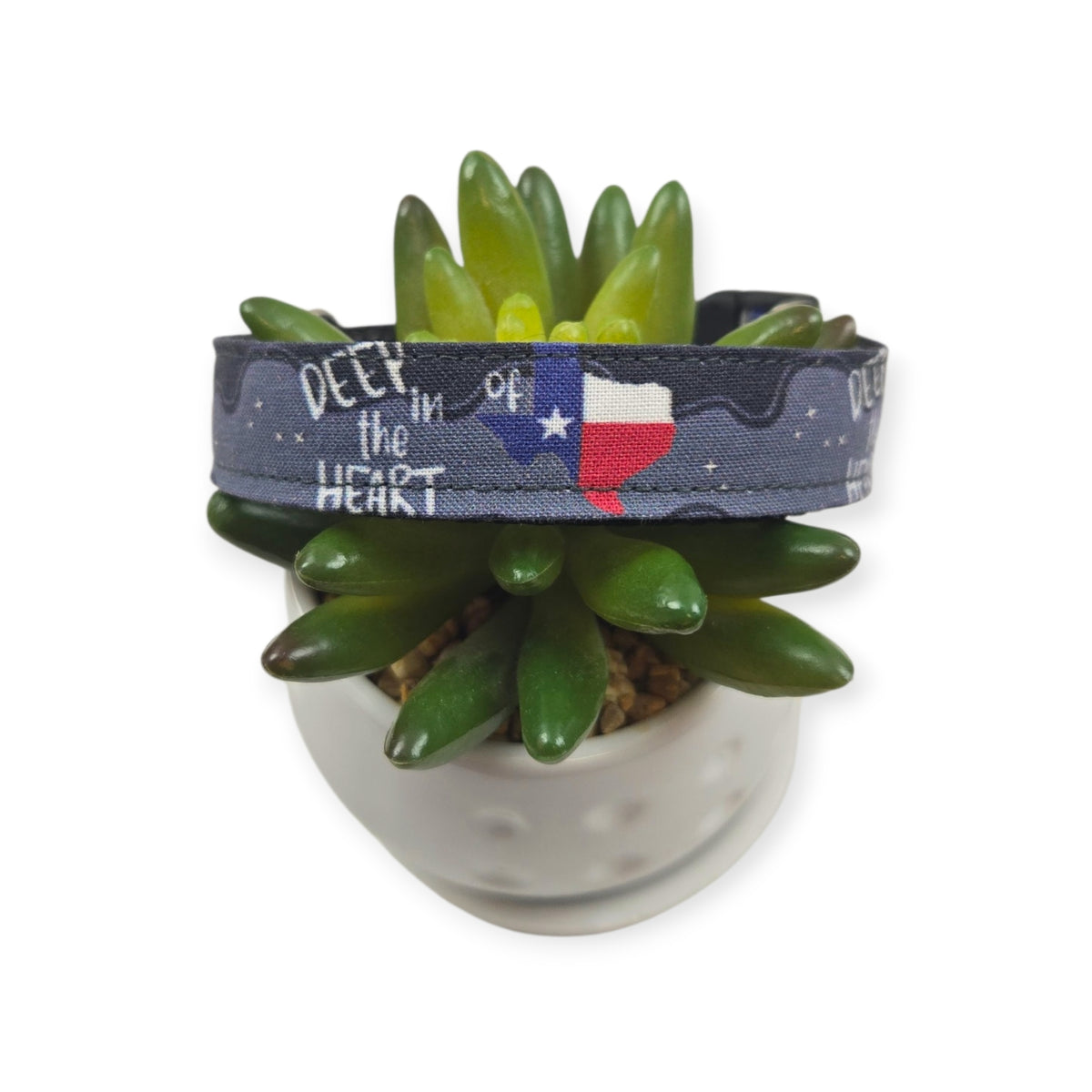 Deep in the Heart of Texas Dog collar (Small, 3/4" wide)