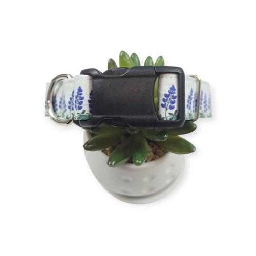 Bluebonnet Field Dog Collar (Medium, 1" Wide)