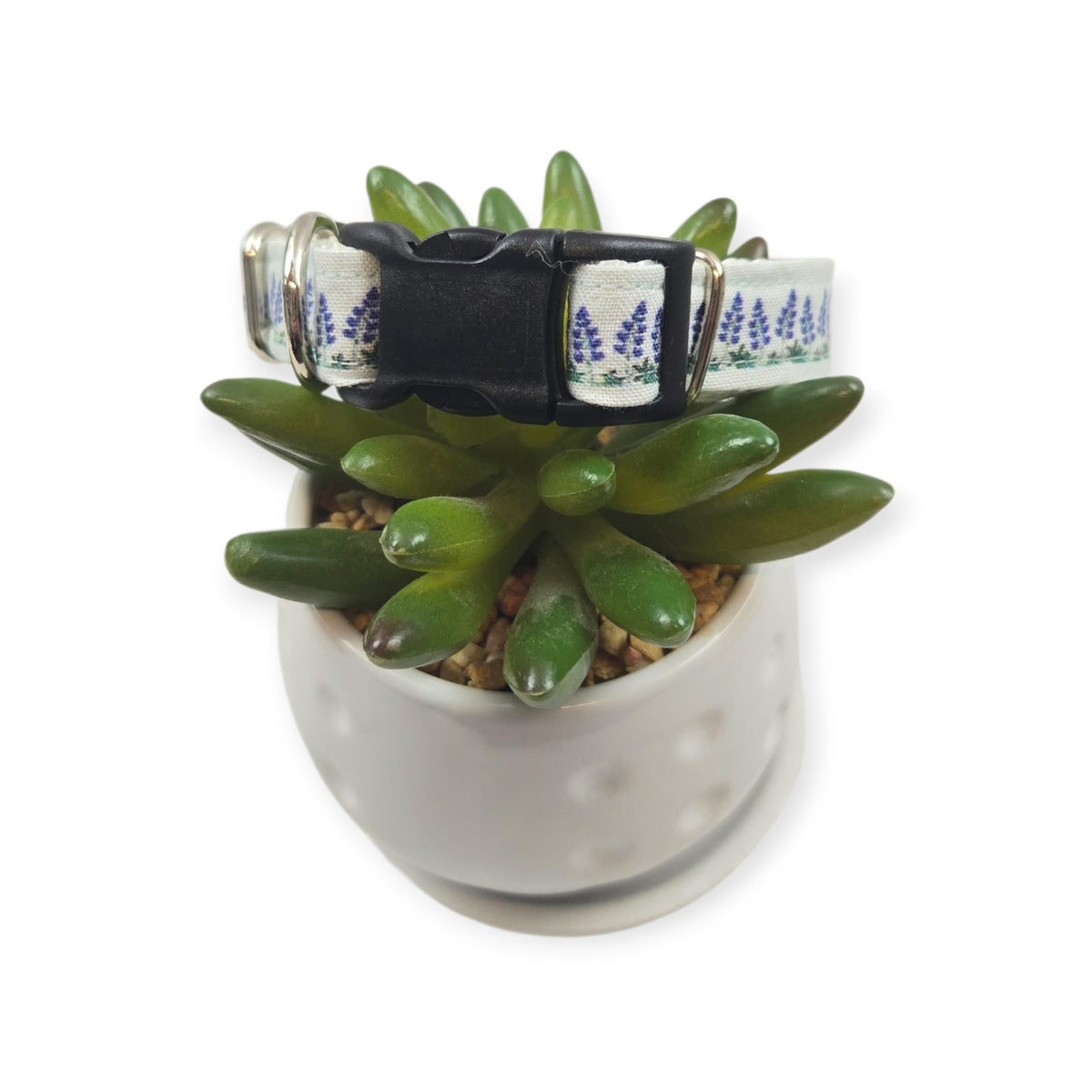 Bluebonnet Field Dog collar (Small)