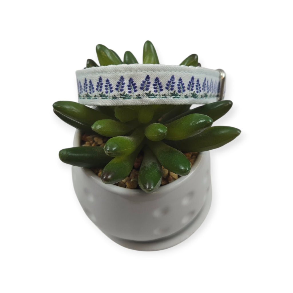 Bluebonnet Field Dog collar (Small)