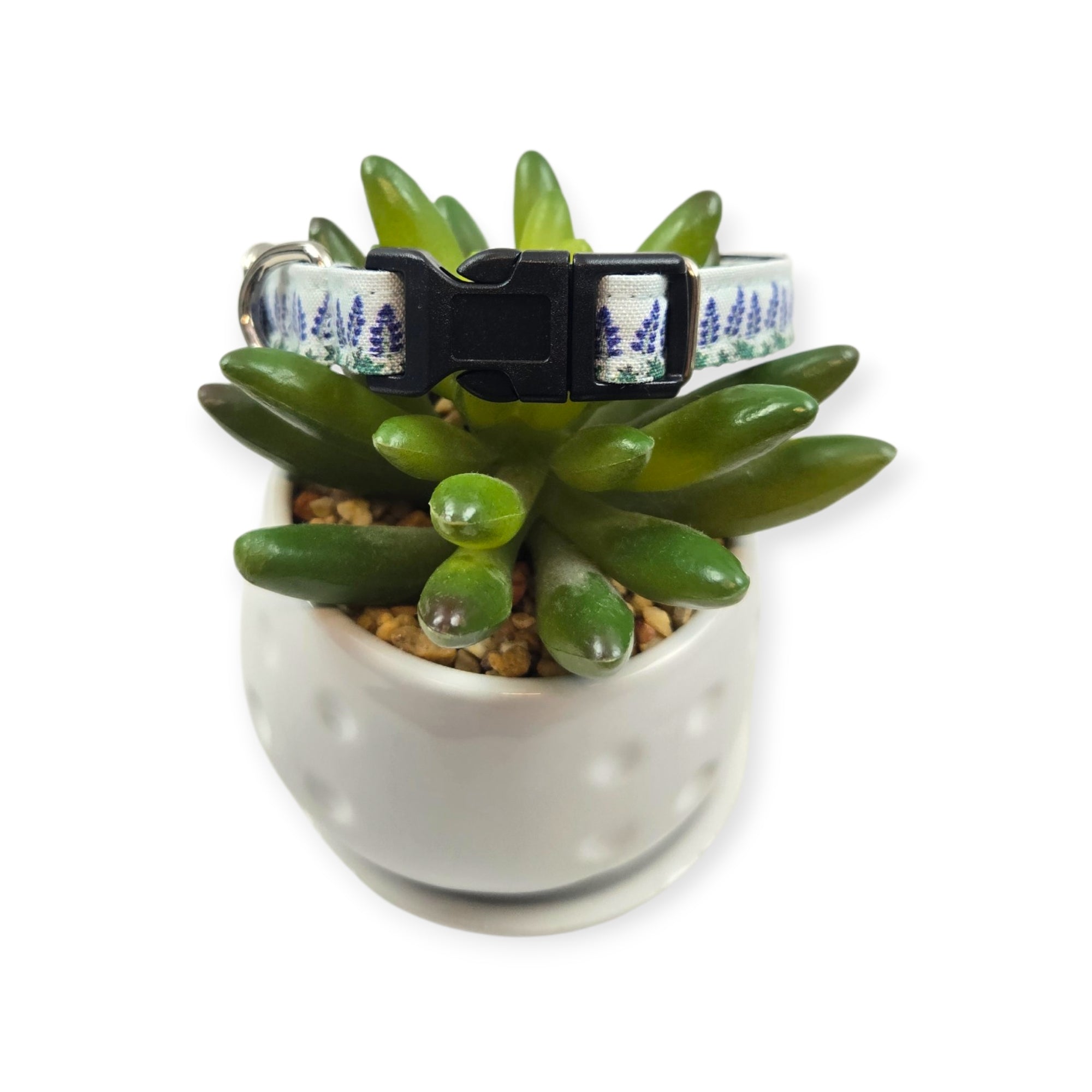 Bluebonnet Field Dog collar (X-Small)