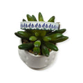 Bluebonnet Field Dog collar (X-Small)
