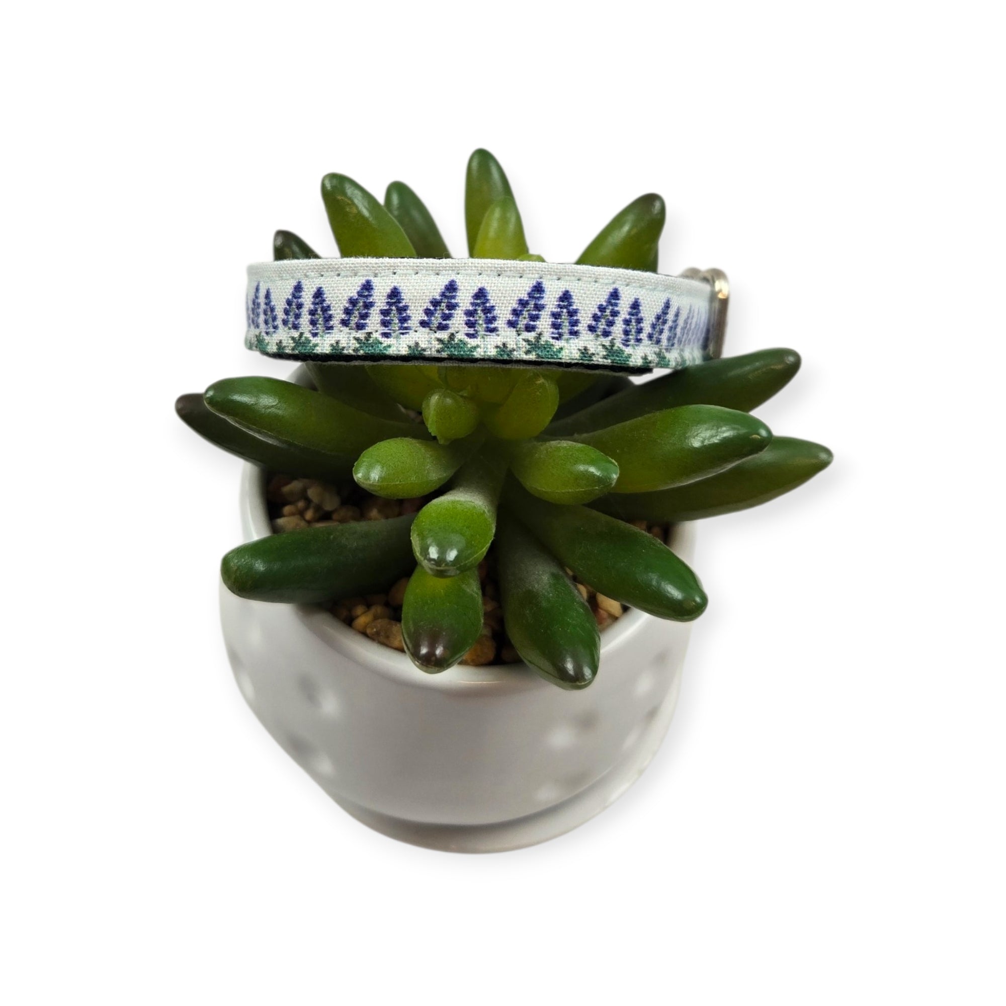 Bluebonnet Field Dog collar (X-Small)
