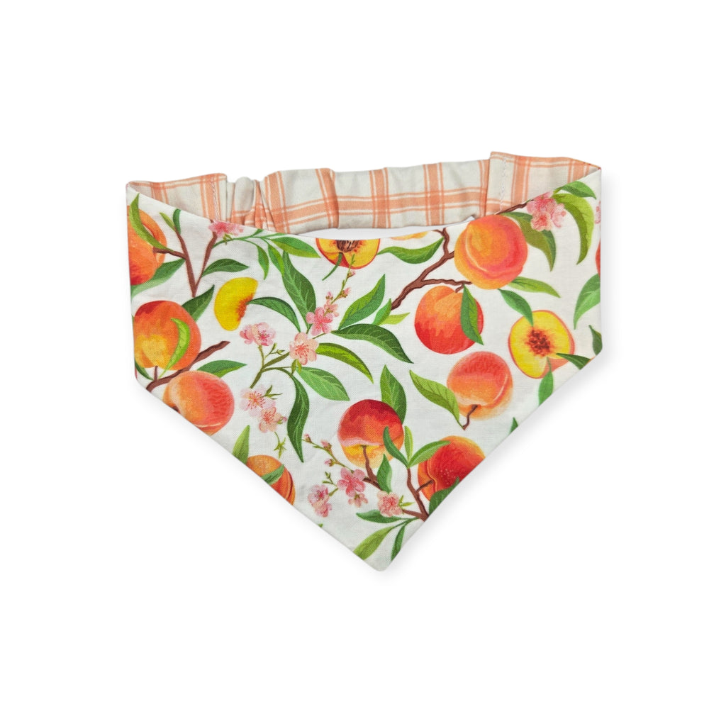 Peach Tree on White/Peach Windowpane Plaid Reversible Slip-on Scrunchie Bandana (Small/Medium)