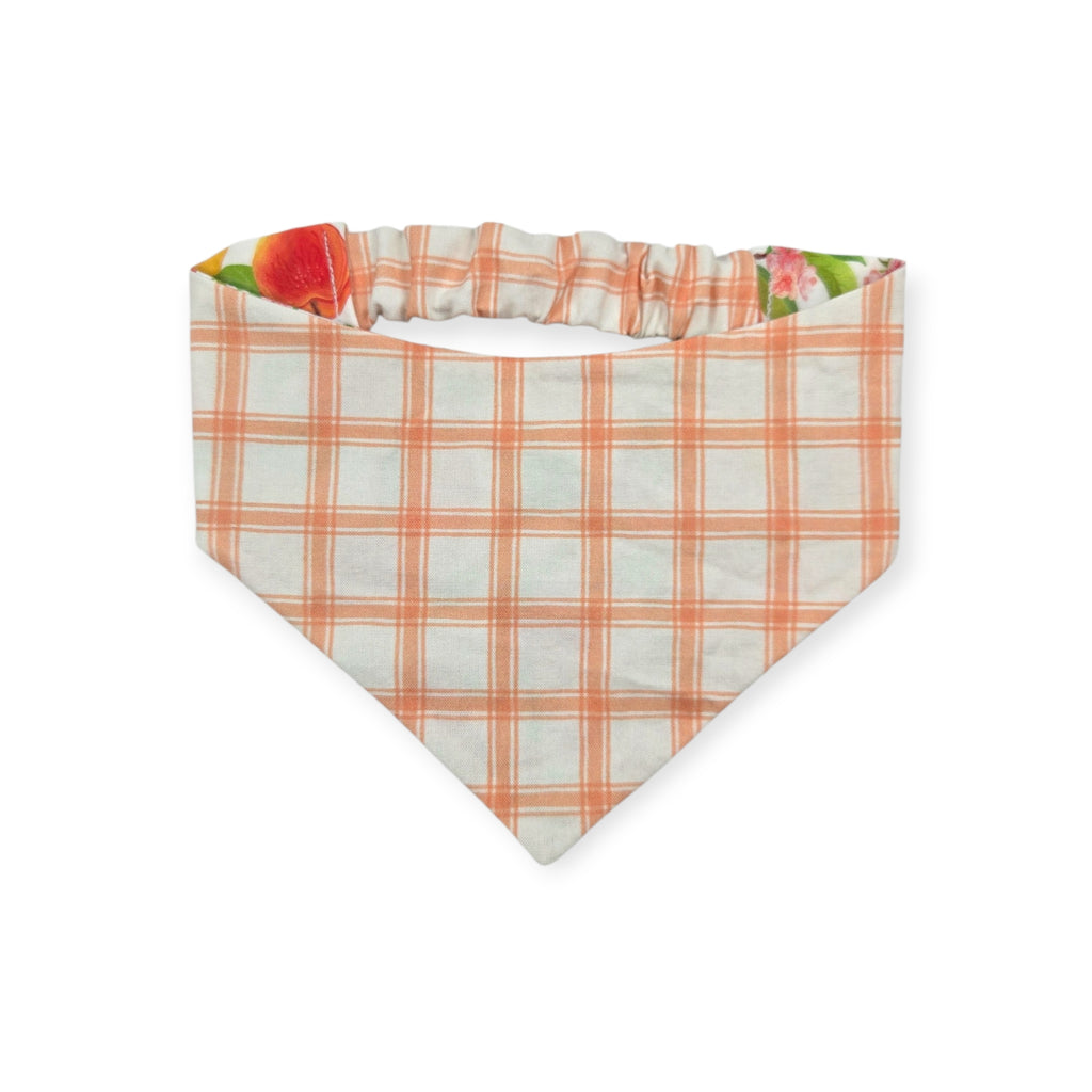 Peach Tree on White/Peach Windowpane Plaid Reversible Slip-on Scrunchie Bandana (Small/Medium)