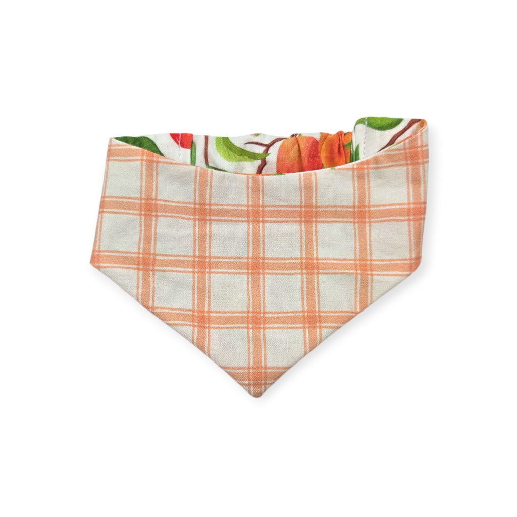 Peach Tree on White/Peach Windowpane Plaid Reversible Slip-on Scrunchie Bandana (Small)