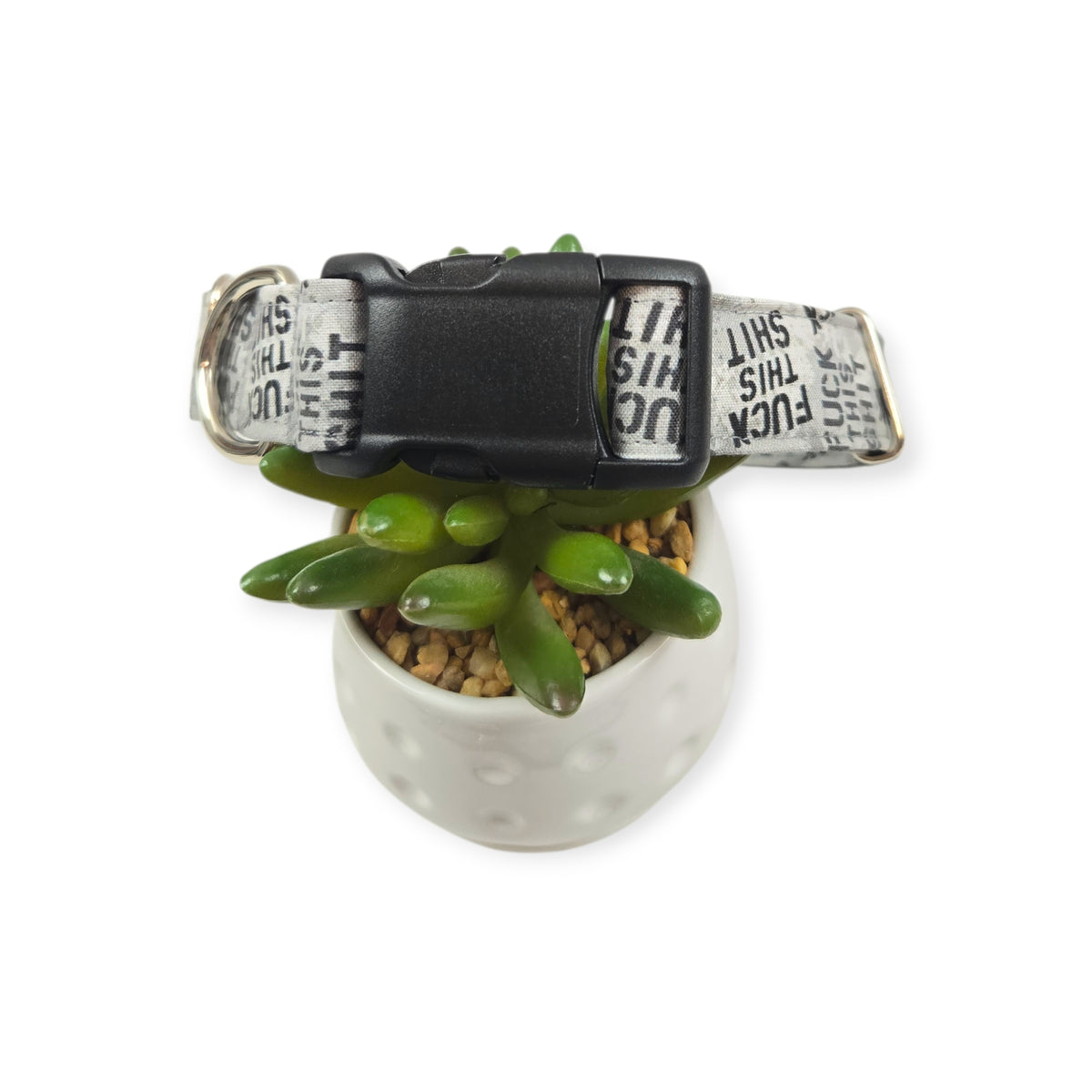 Fuck This Shit Stencil Dog Collar (Medium, 1" Wide)
