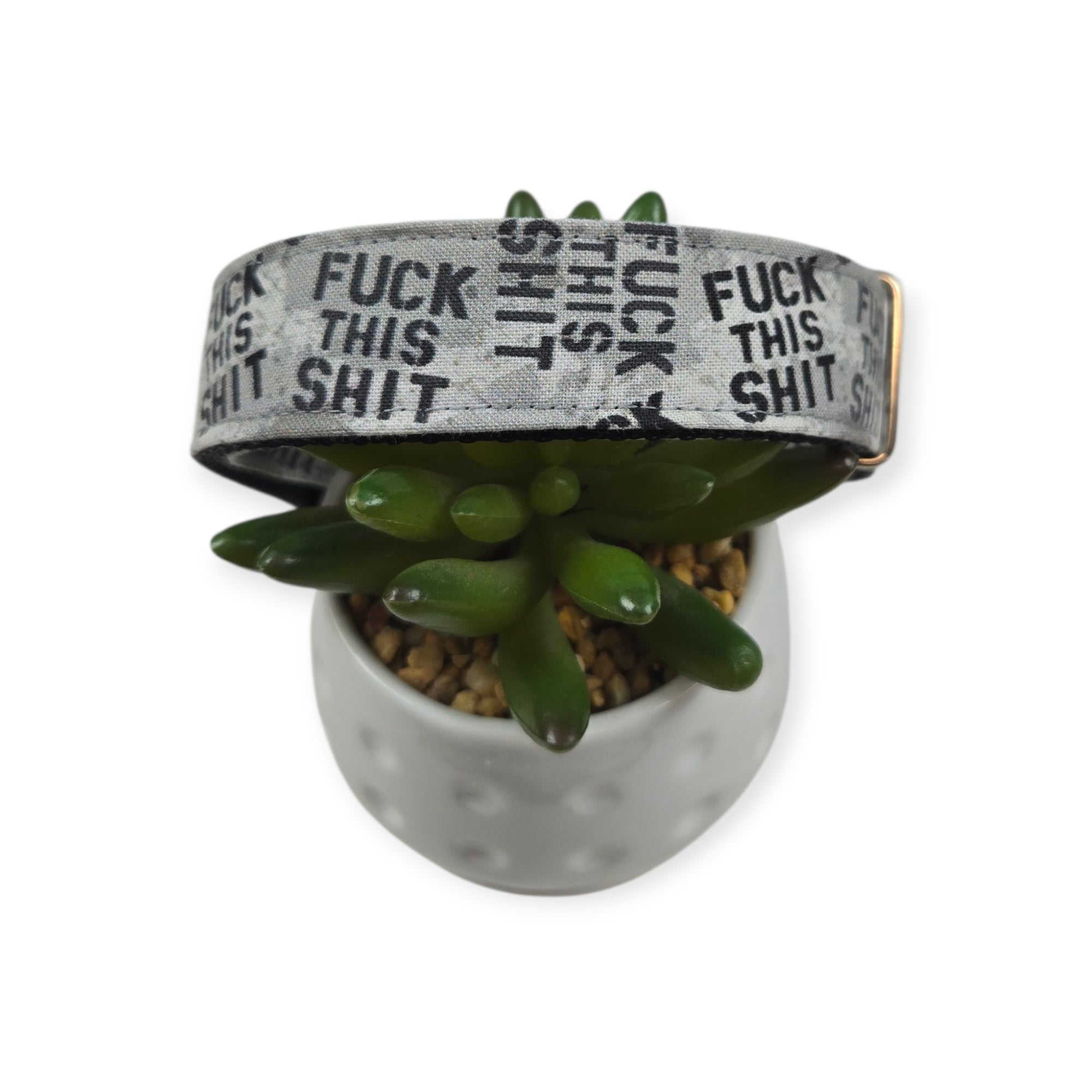 Fuck This Shit Stencil Dog Collar (Medium, 1" Wide)