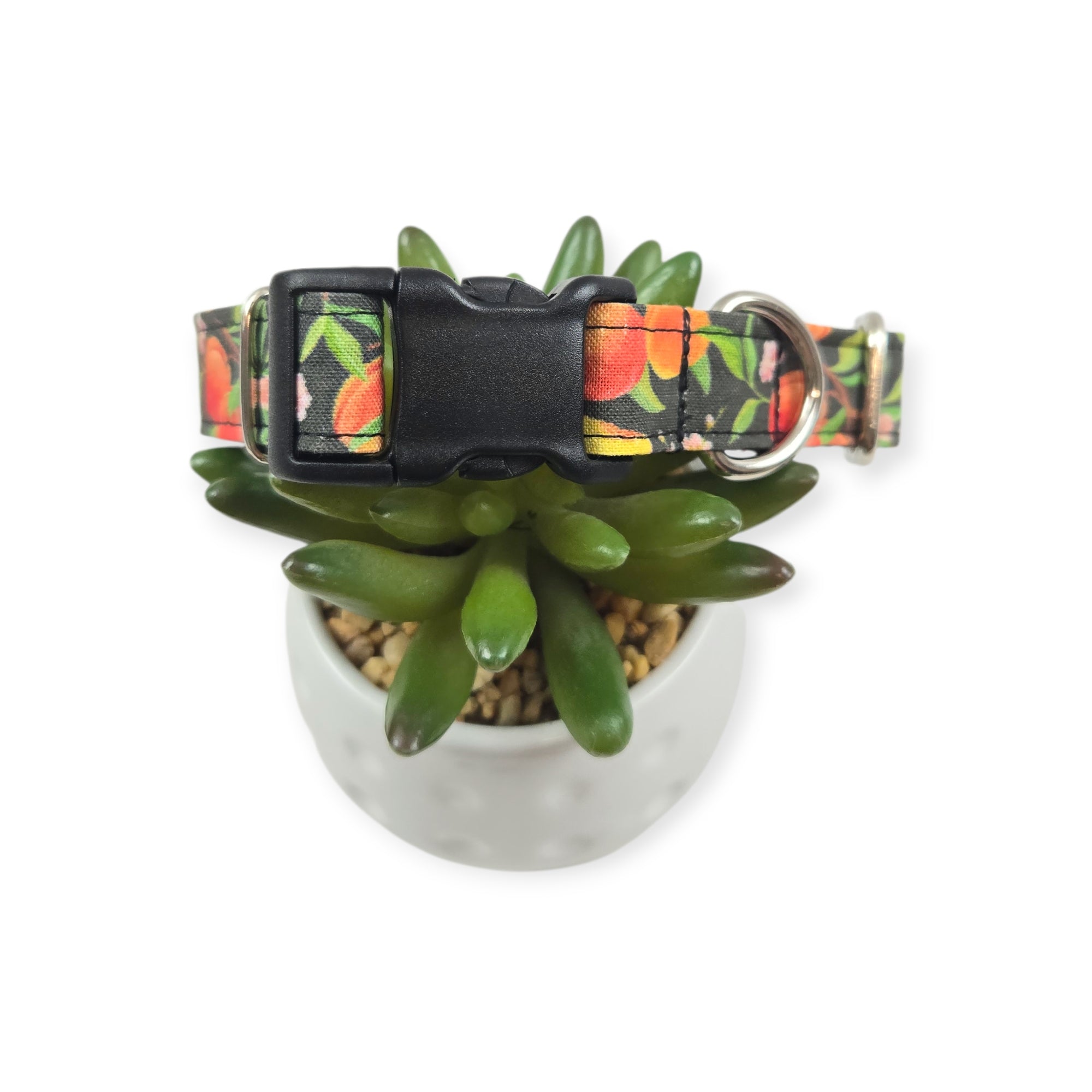 Peach Tree on Black Dog collar (Small, 3/4" wide)