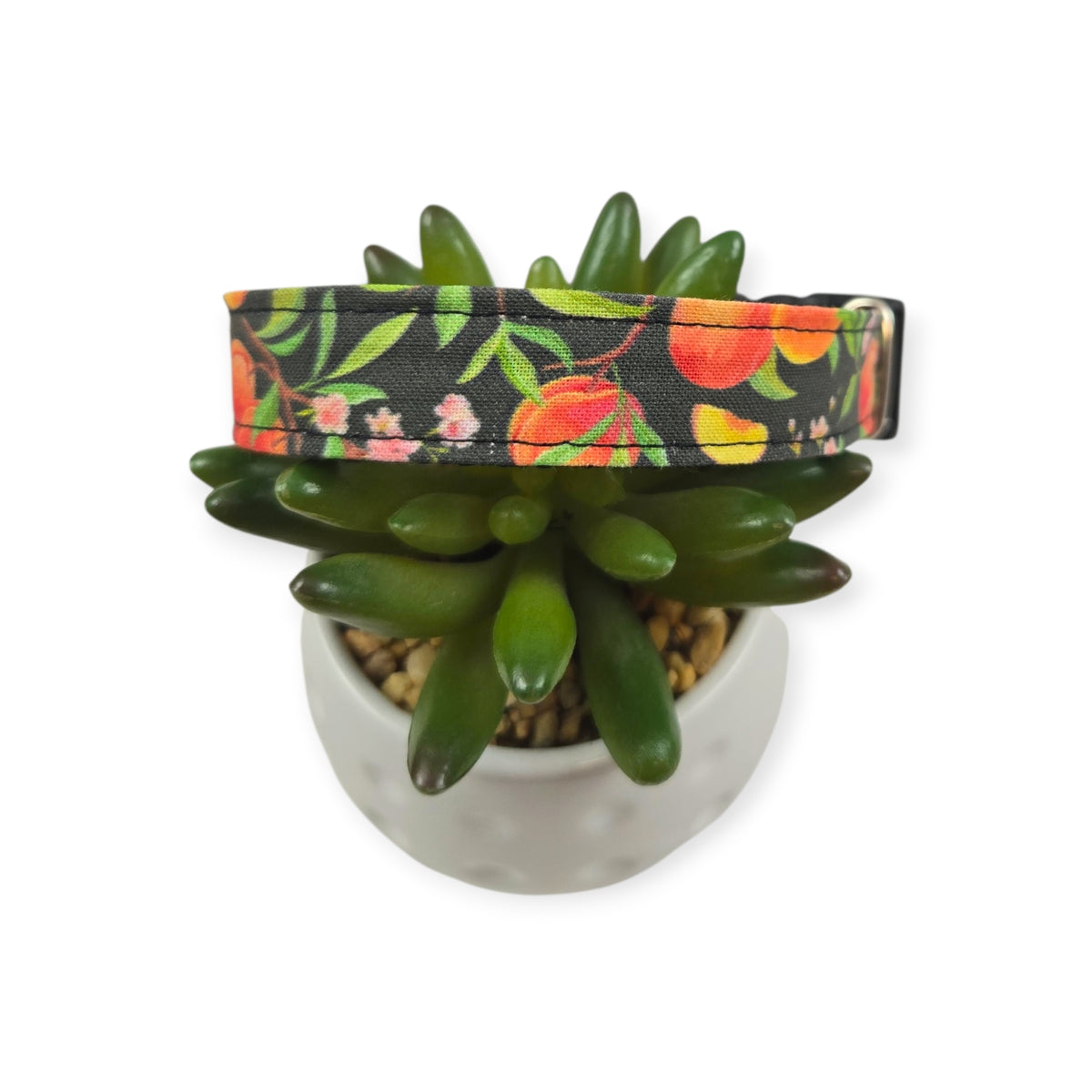 Peach Tree on Black Dog collar (Small, 3/4" wide)