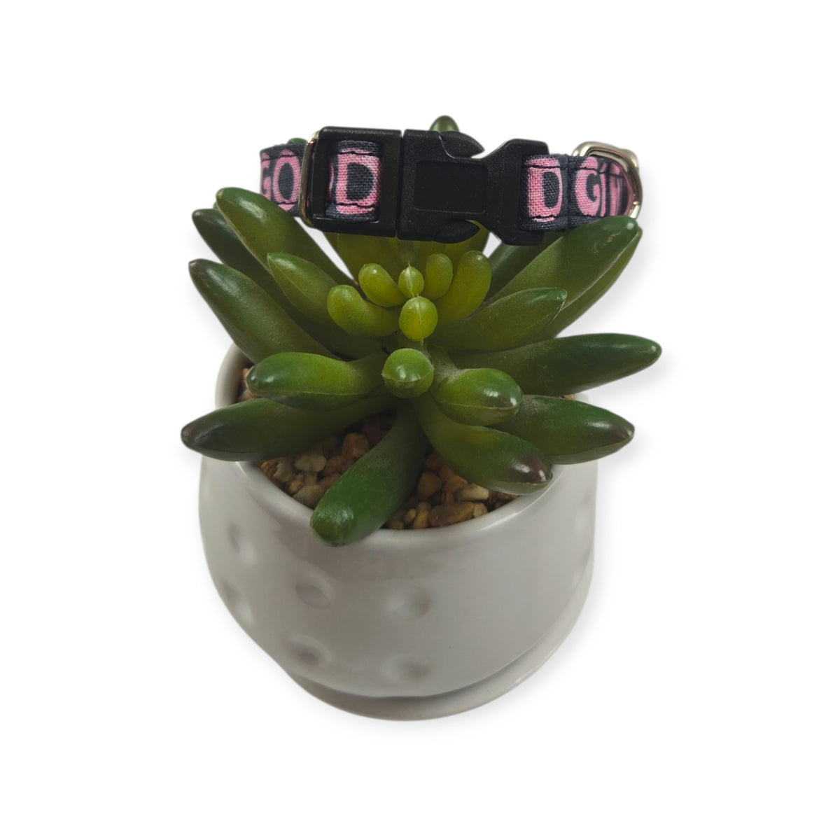 Good Girl Dog collar (XX-Small)