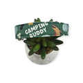 Camping Buddy Dog Collar (Medium, 1" Wide)