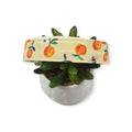 Orange You Bee Dog Collar (Medium, 1" Wide)