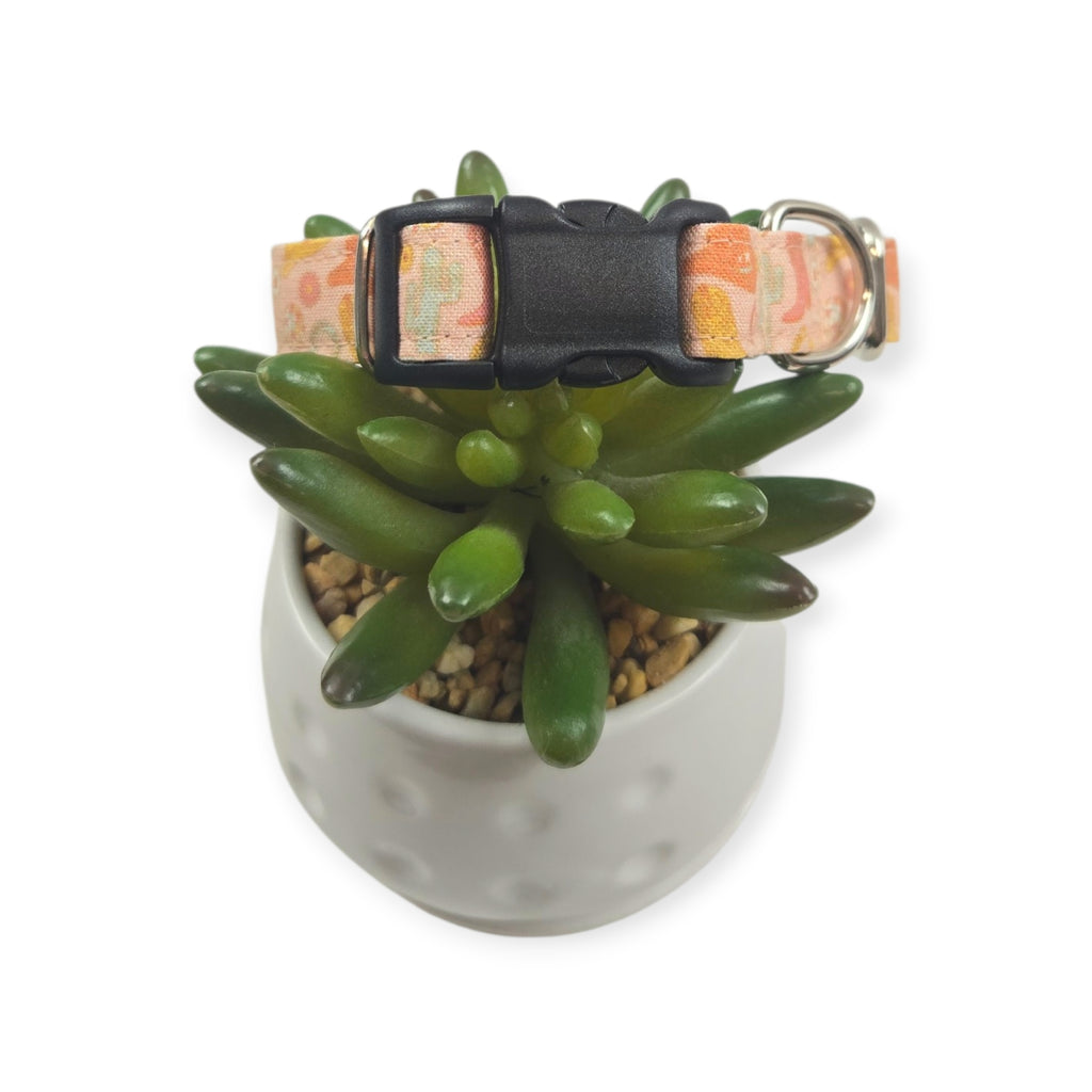 Disco Cowgirl Dog collar (Small)