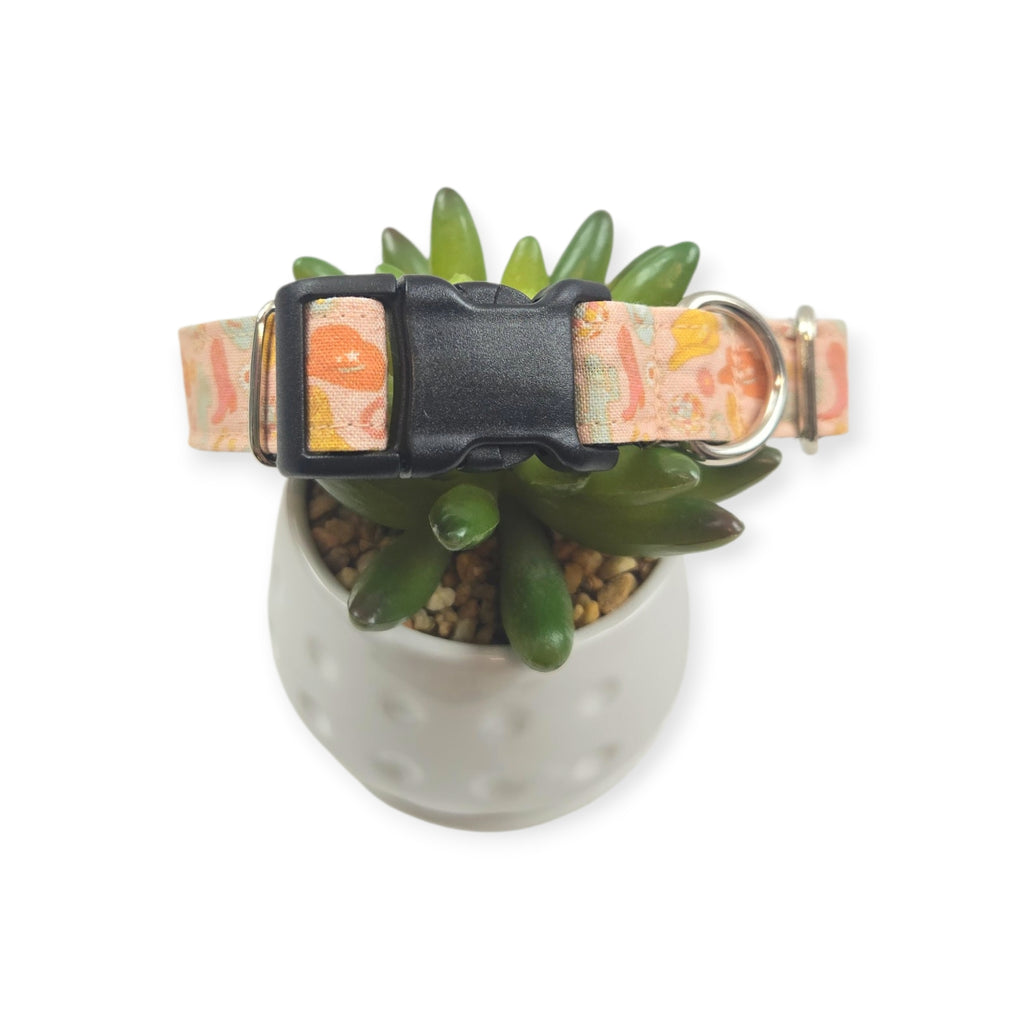 Disco Cowgirl Dog Collar (Medium)