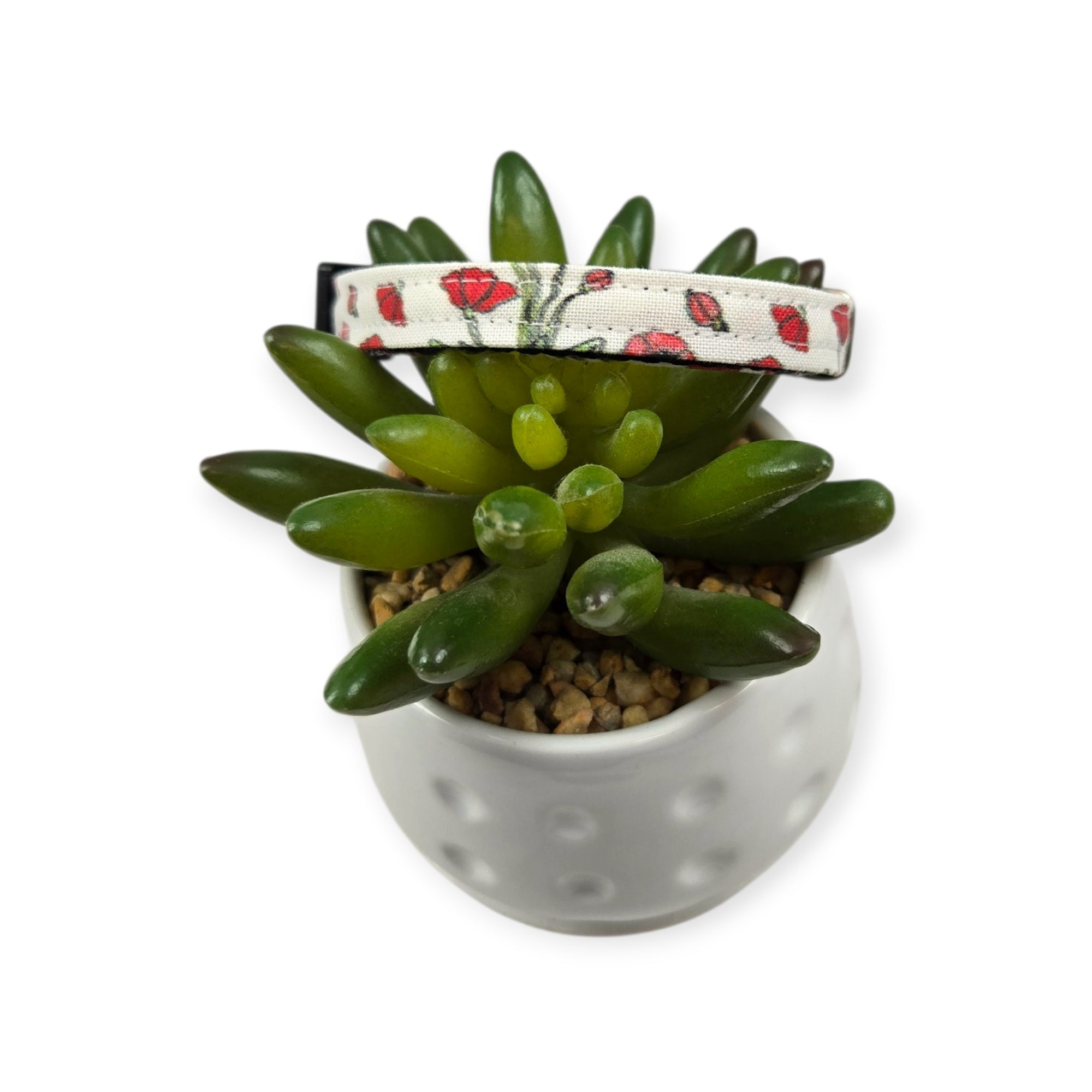 Scarlet Poppy Dog collar (XX-Small)