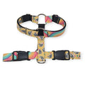 Wiggle Butt/Retro Rainbow Swirls SureFit Harness (Medium)