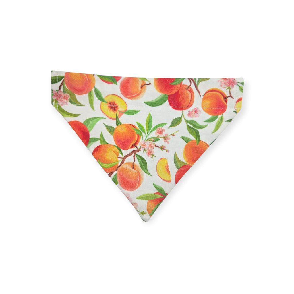 Peach Tree on White/Peach Windowpane Plaid Reversible Slide-on Bandana (Medium)
