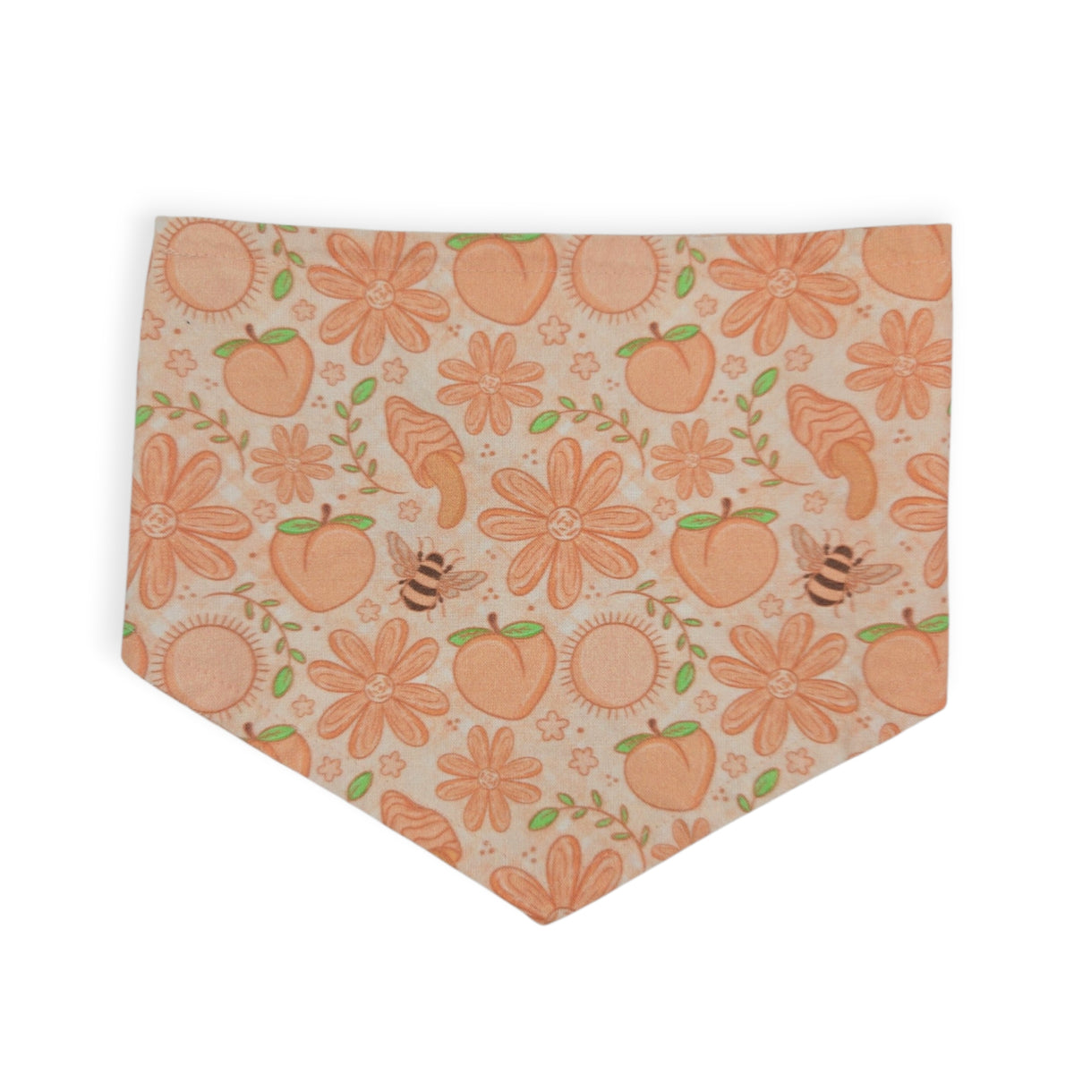 Peach Fuzz in Nature/Peach Floral Paisley Reversible Tie-on Bandana (Large)