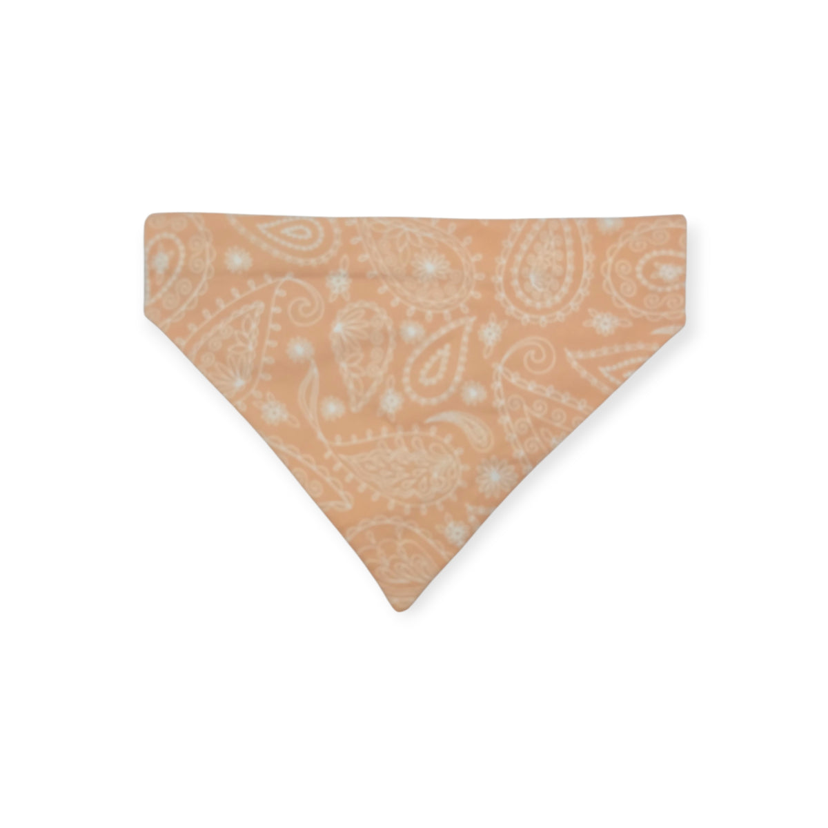 Peach Fuzz in Nature/Peach Floral Paisley Reversible Slide-on Bandana (Small)