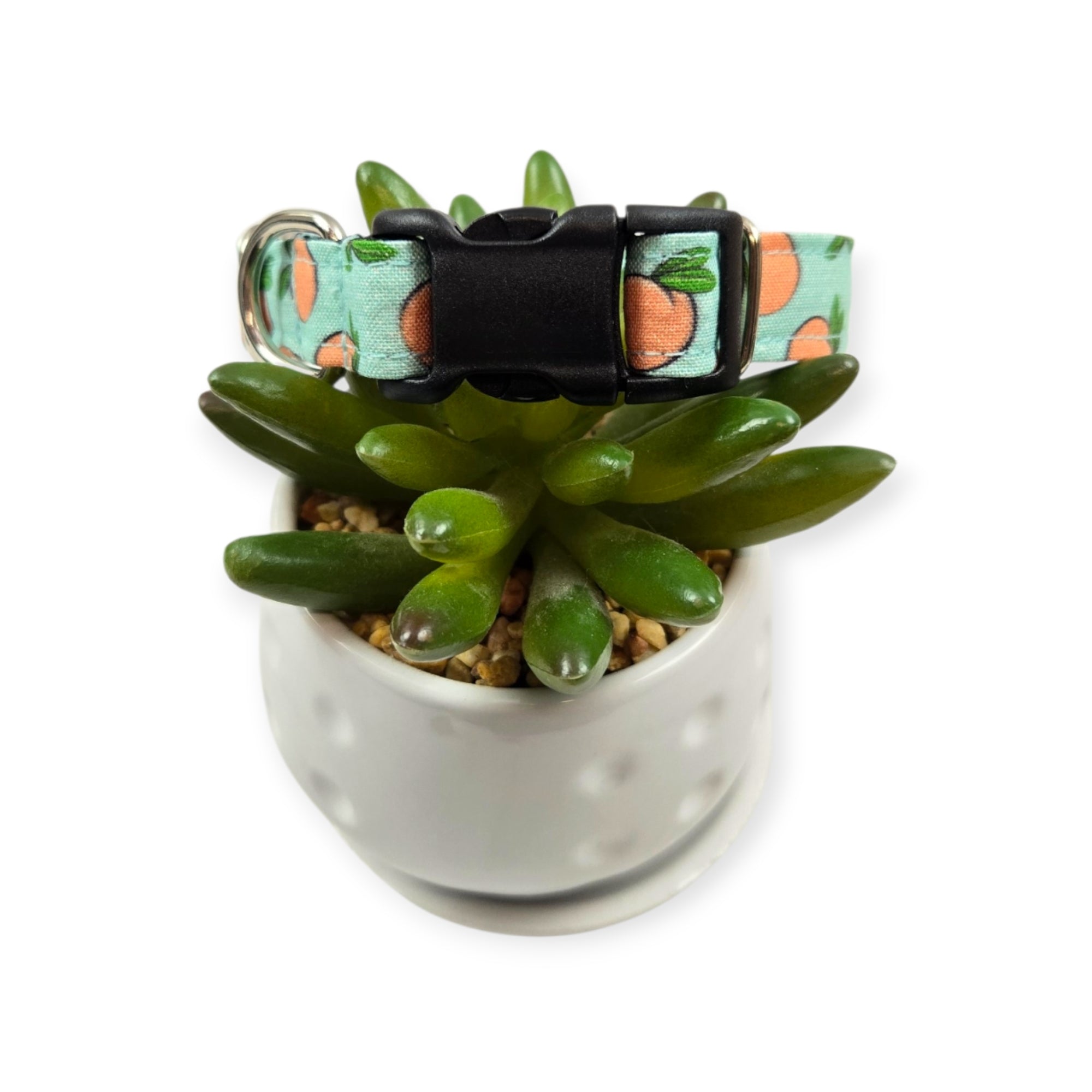 Peaches & Aqua Polka Dots Dog collar (Small)