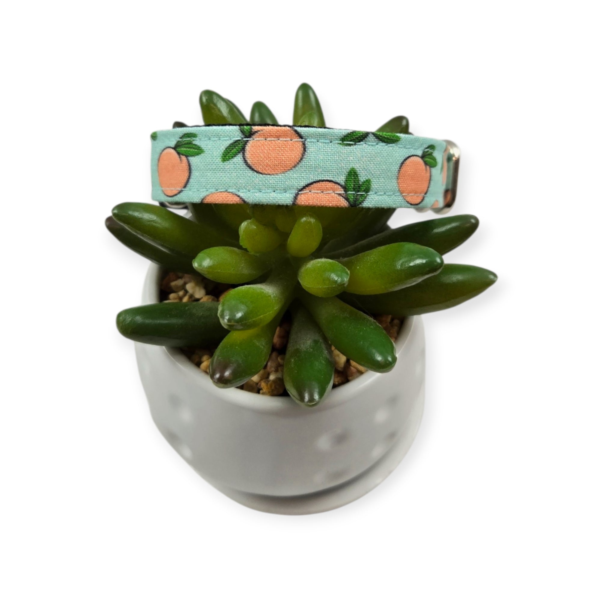 Peaches & Aqua Polka Dots Dog collar (Small)