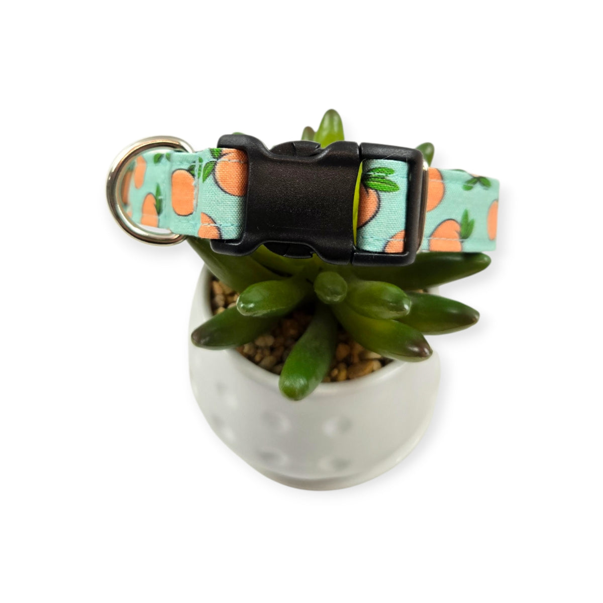 Peaches & Aqua Polka Dots Dog Collar (Medium)