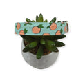 Peaches & Aqua Polka Dots Dog Collar (Medium)