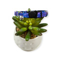 Starry Night Galaxy Kitty Collar (XX-Small)