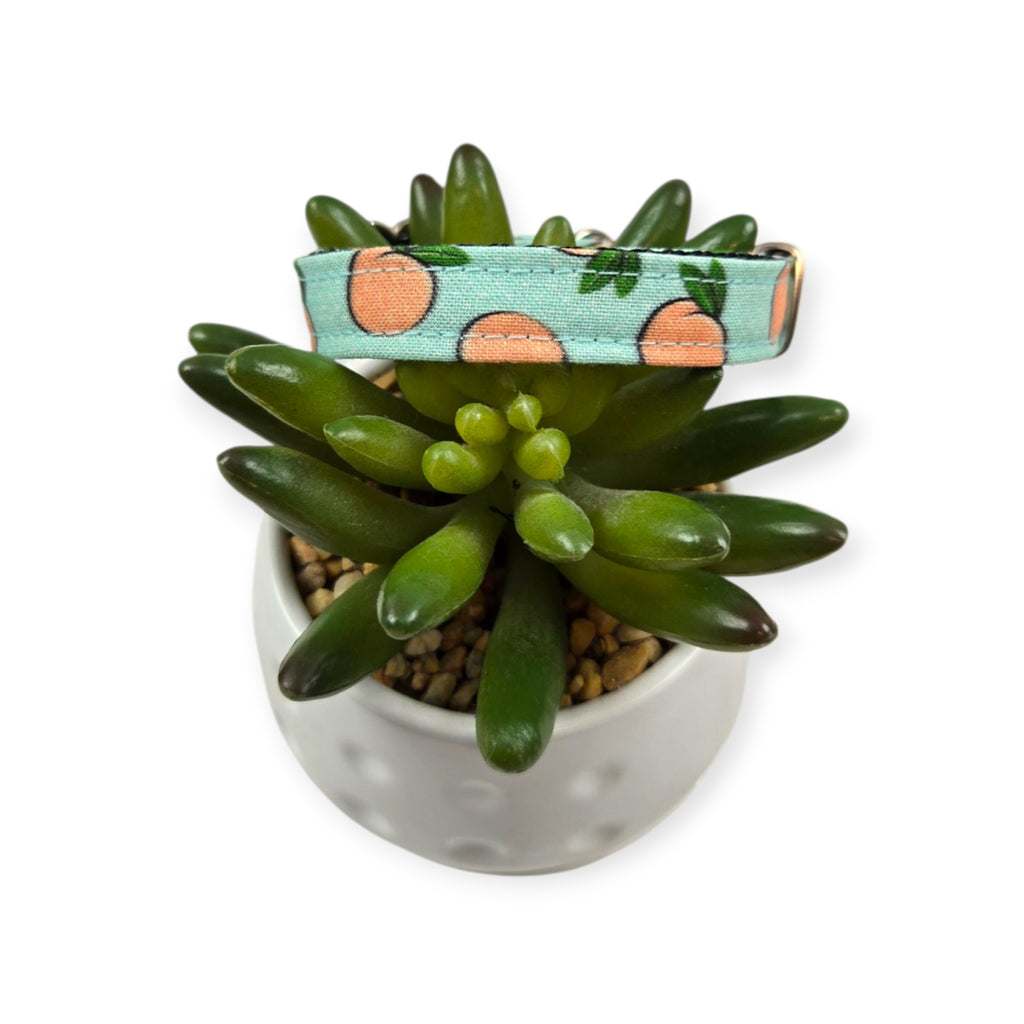 Peaches & Aqua Polka Dots Kitty Collar (XX-Small)