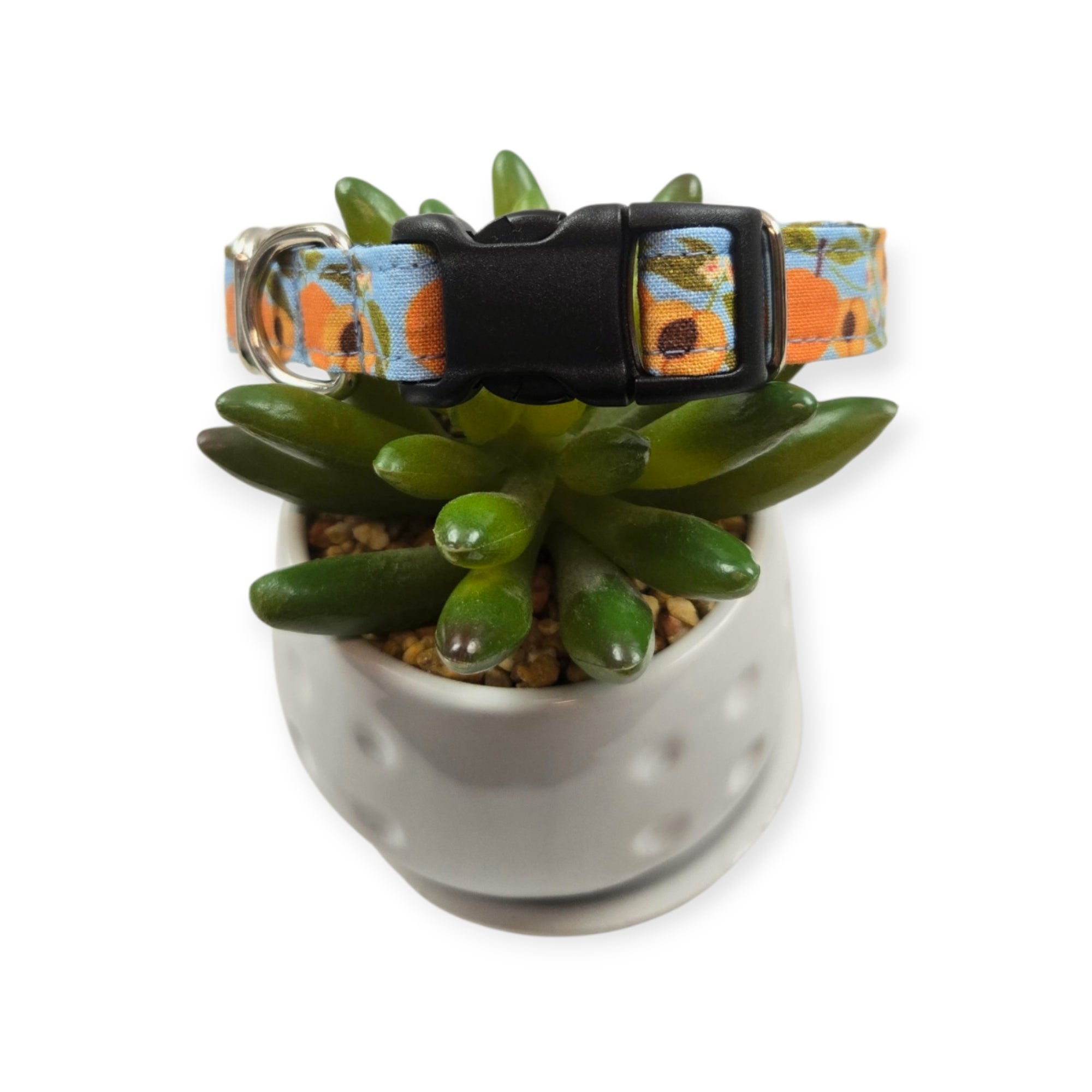 Peaches on Sky Blue Dog collar (Small)