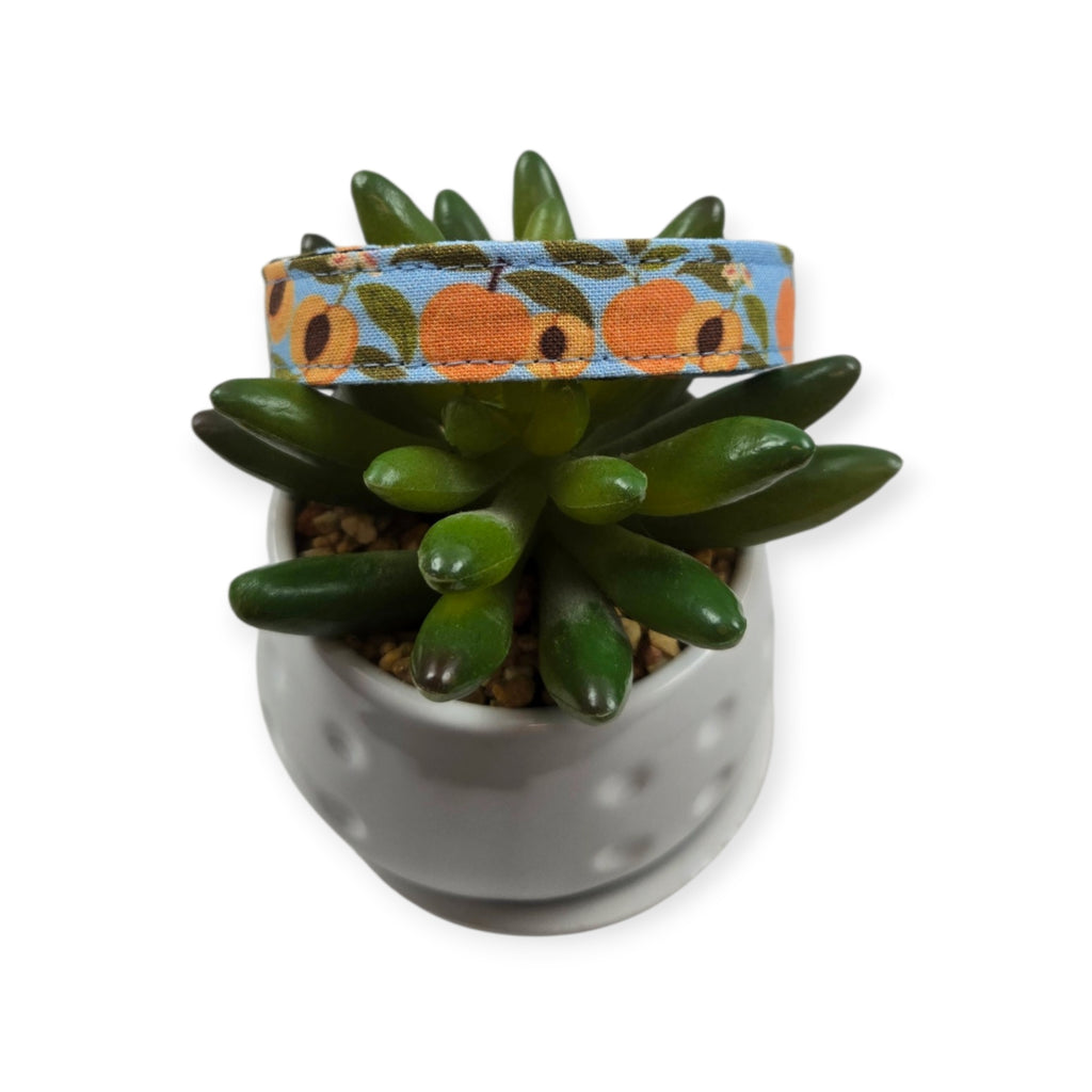 Peaches on Sky Blue Dog collar (Small)