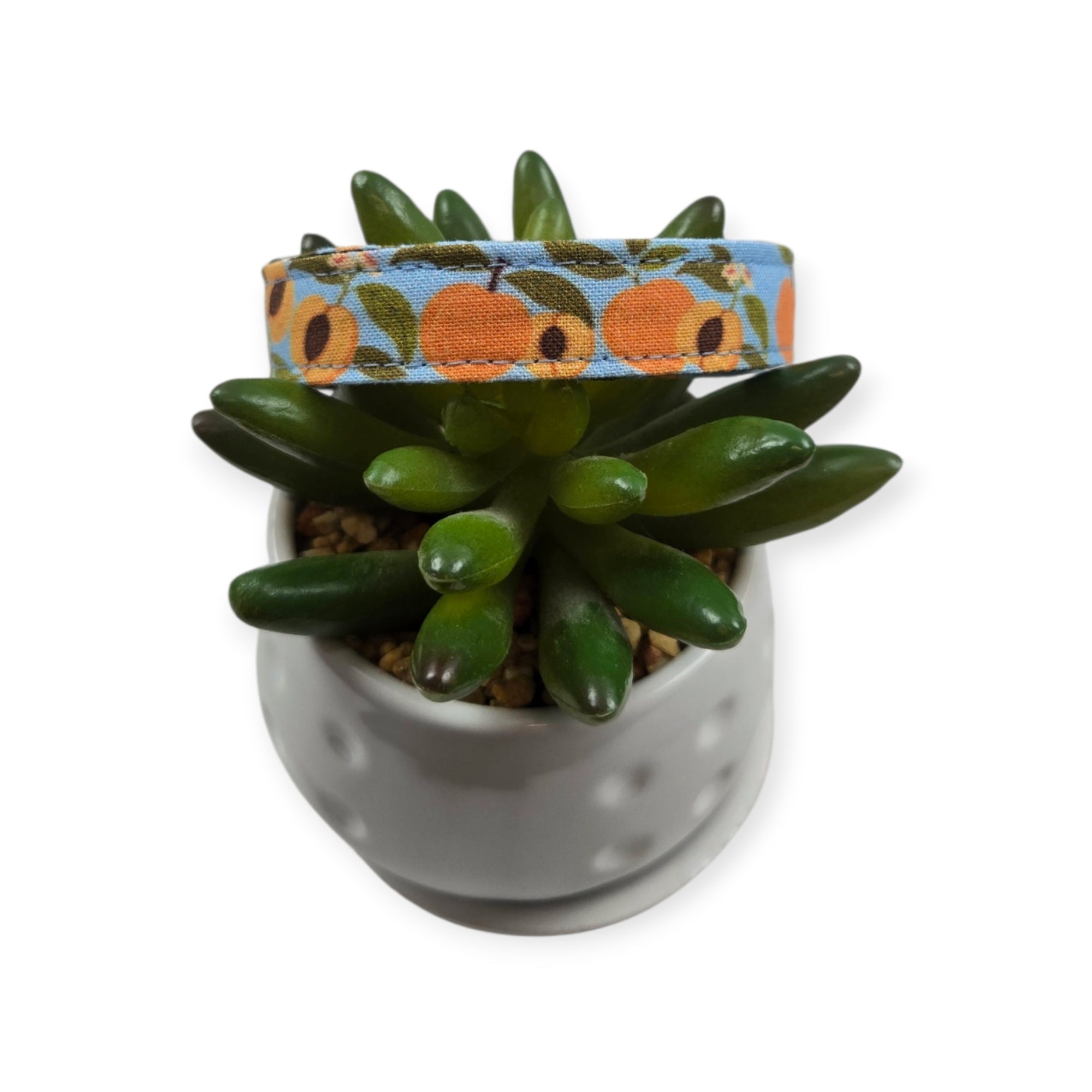 Peaches on Sky Blue Dog collar (Small)