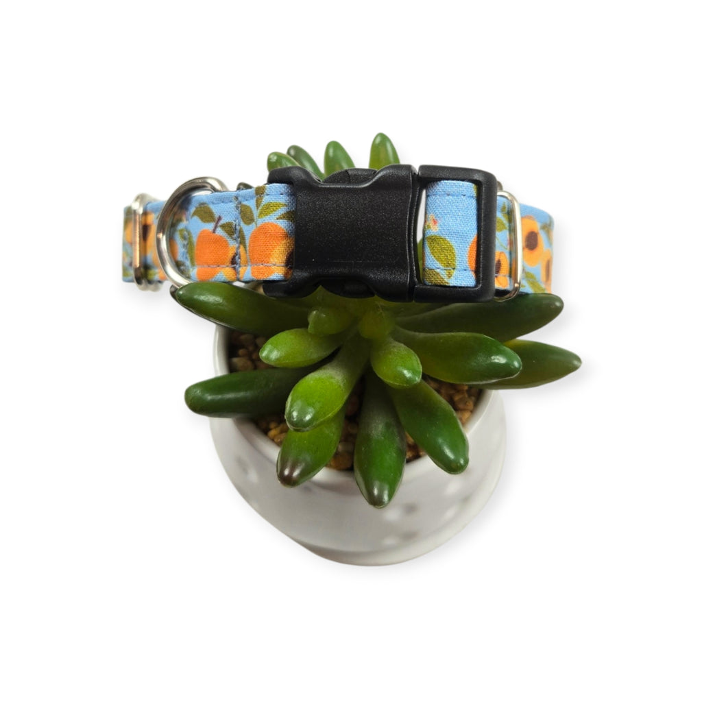Peaches on Sky Blue Dog Collar (Medium)