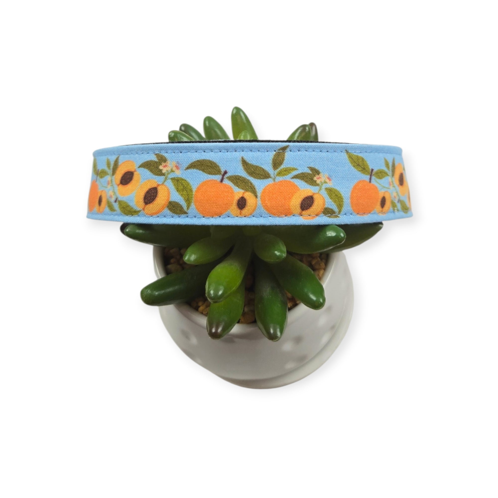 Peaches on Sky Blue Dog collar (Large)