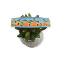 Peaches on Sky Blue Dog Collar (X-Large, 1" wide)