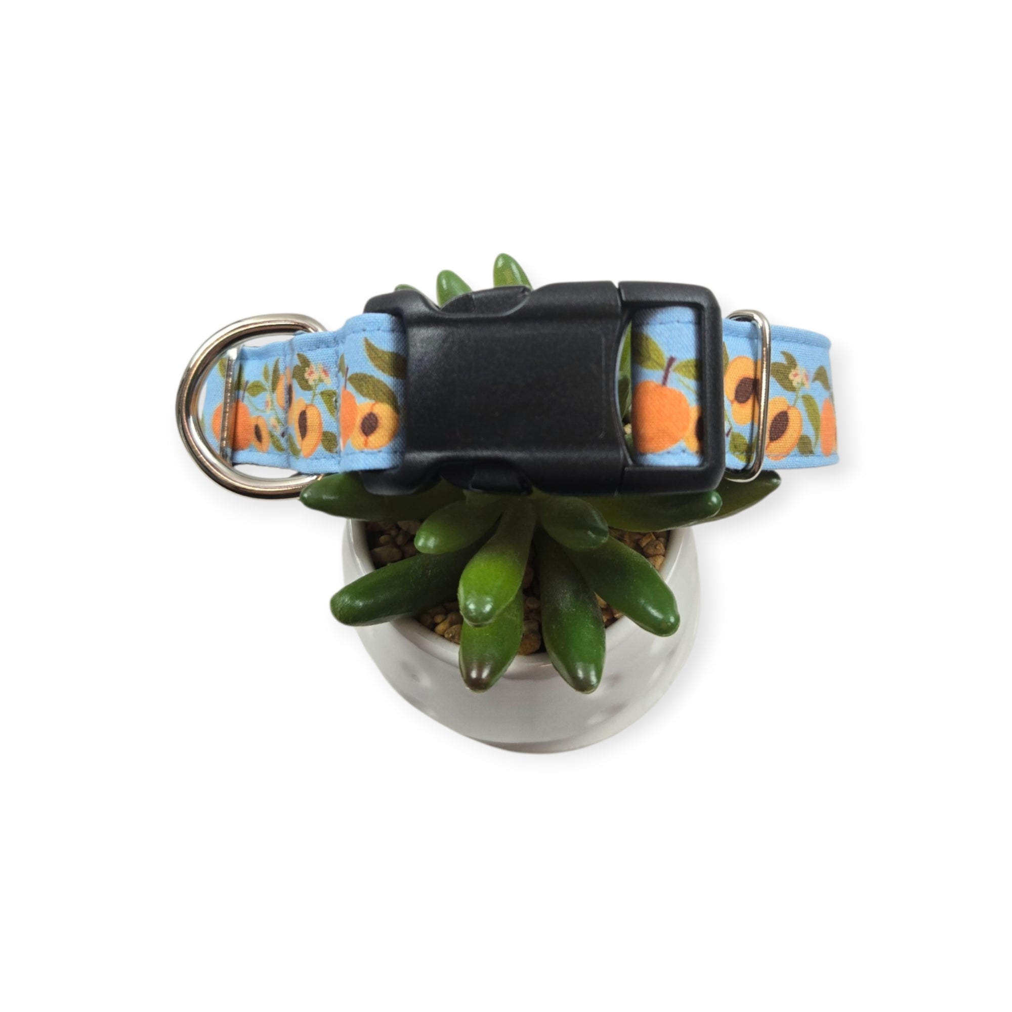 Peaches on Sky Blue Dog Collar (X-Large, 1" wide)